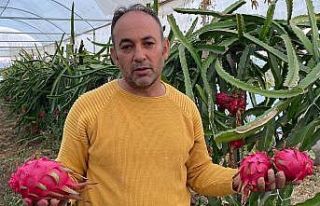 Mersin ve Antalya’da tadına baktı, atıl araziyi...