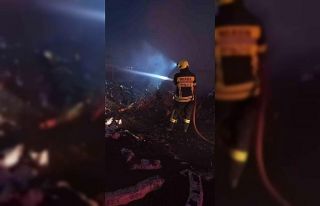 Mersin’de domates serasında korkutan yangın