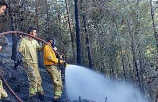 Mersin’de orman yangını havadan ve karadan müdahaleyle...