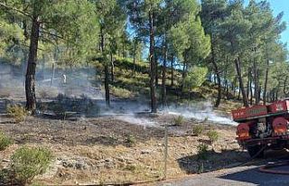 Mersin’de vadide çıkan orman yangını, büyümeden...