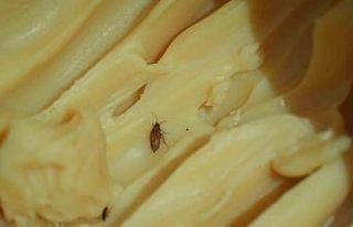 Mide bulandıran görüntülerin oluştuğu işletmeye...