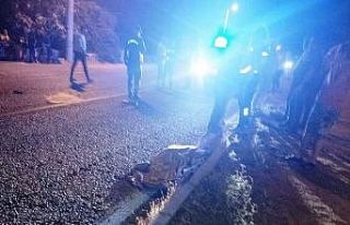 Milas’ta trafik kazası: 1 ölü