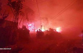 Muğla yanıyor... Ortaca ve Dalaman’daki yangınların...