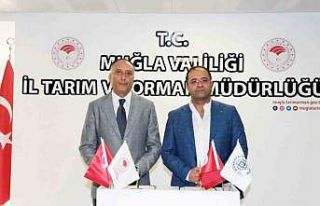 Muğla’da 5 bin büyükbaş hayvan aşılanacak