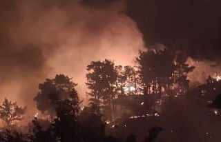 Muğla’da ikinci orman yangını