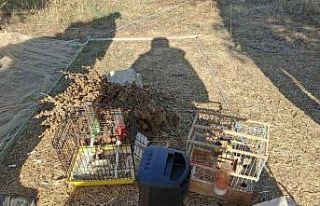 Muğla’da kaçak avcılık yapan kişiye para cezası...