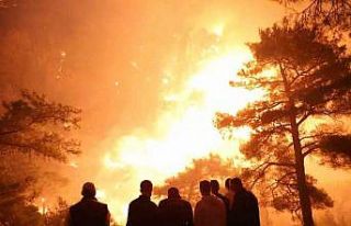 Muğla’daki orman yangınında alevler geceyi aydınlattı
