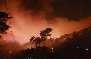 Muğla’yı orman yangınları esir aldı