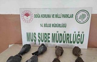 Muş’ta keklik avlayan 2 kişiye 42 bin 946 TL para...