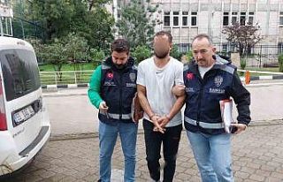 Nakliyat şirketinde hamal, evinin eşyasını taşıdığı...