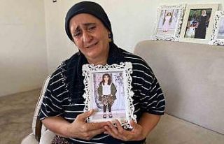 Narin Güran cinayetinde anne, ağabey, amca ve Nevzat...