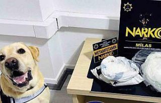Narkotik köpeği ‘Çiko’ affetmiyor