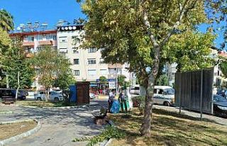 Nazilli’de yeşil alan çalışmalarına hız verildi