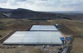 Niğde’nin jeotermal potansiyeli ile topraksız...