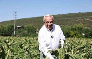 Nilüfer’de tarım ve kooperatifçilik için yeni...