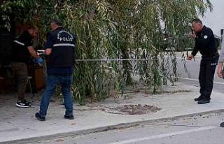 Oğluna saldıran köpeğin sahibini bıçakladı