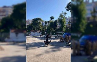 Öğrenciler jandarmayı ziyaret edip eğitimli köpeklerin...
