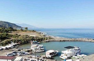 Oltayla tuttuğu 1 buçuk metrelik devasa balığı...