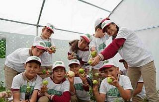 Önce öğrenip üretiyorlar, sonra yiyorlar