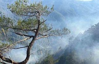 Orman yangını 28. saatte kontrol altına alındı