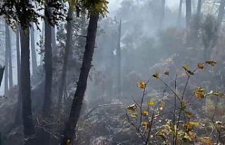 Orman yangınına müdahale çevre illerden destekle...