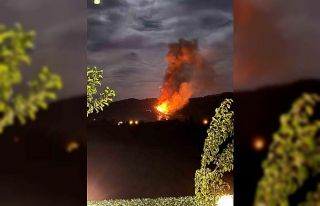 Ortaca’da orman yangını