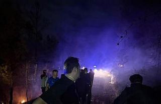 Ortaca’daki orman yangını kısmen kontrol altına...