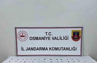 Osmaniye’de tarihi eser operasyonu: 89 adet sikke...