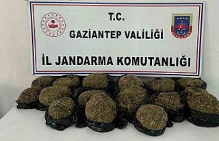 Otobüsün bağajından 18.5 kilo skunk ele geçirildi