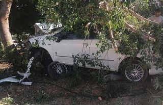 Otomobil ağaca vurdu, sürücü yaralı kurtuldu