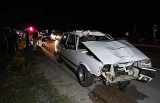 Otomobilin çarptığı yaşlı adam hayatını kaybetti