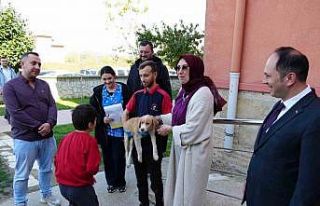 Özel eğitim okuluna can dost yavru köpek