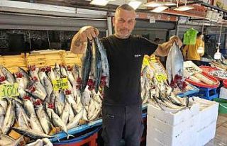 Palamut irileşti, fiyatı yüz güldürdü