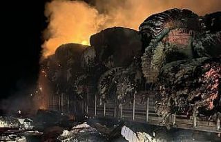 Pamuk yüklü tır alev aldı