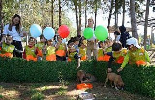 ’Pati Şenliği’nde can dostlar ilgi odağı oldu
