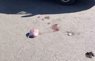 Polis memuruna izin gününde cadde ortasında pompalı...