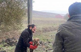 Polisten atmacaya uzanan şefkat eli