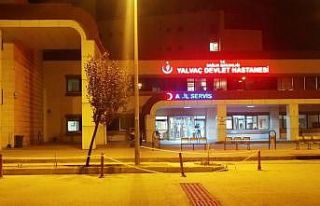 Pompalı tüfeği temizlerken abisini yaraladı