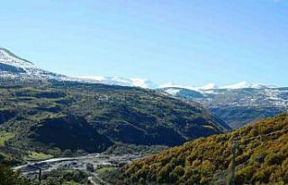 Posof’ta yeşil ile beyazın buluşması görsel...