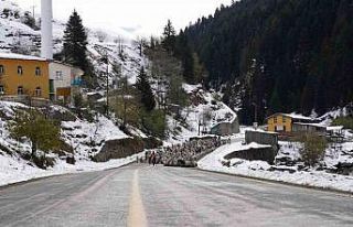 Rize’nin karlı yaylalarından kartpostallık görüntüler