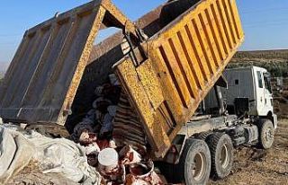 Sağlığa uygun olmayan 6 buçuk ton salça imha...