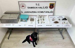 Samsun’da jandarma ekipleri çok sayıda uyuşturucu...