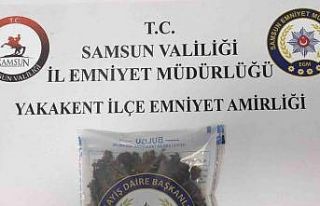 Samsun’da uyuşturucu operasyonları: 5 gözaltı