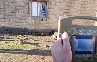 Şanlıurfa’da kaçakçılık operasyonuna 7 gözaltı