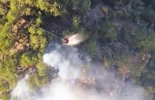 Sarp arazide devam eden orman yangınında alevlerle...