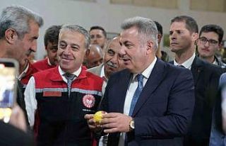 Satsuma mandalinası Balkanlar ve Avrupa yolunda