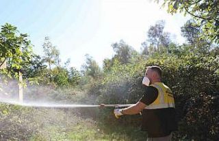 SBB’den kahverengi kokarcayla mücadeleye destek