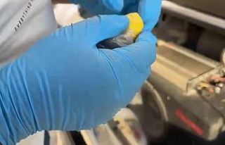 Ses sistemine gizlenmiş uyuşturucu ele geçirildi