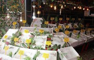 Siirt’te balık çeşitleri tezgahta yerini aldı