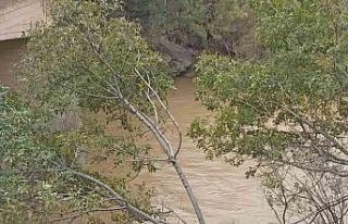 Siirt’te sağlık ekibinin aracı köprüden düştü,...